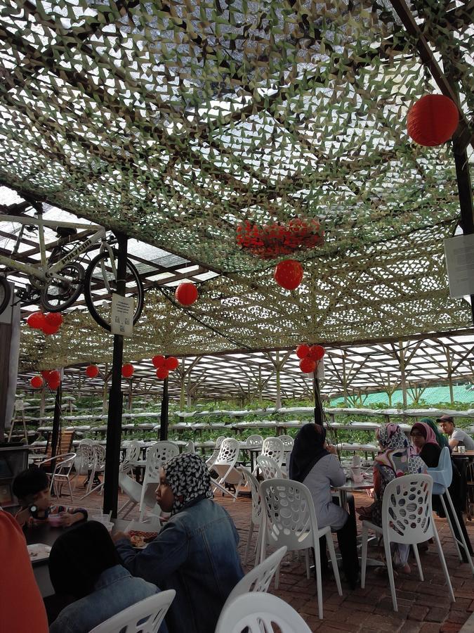 Azizi&Yati Muslim Homestay Cameron Highlands Eksteriør billede